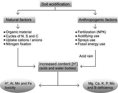 Aluminum, a Friend or Foe of Higher Plants in Acid Soils